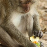 IMG_3461 (1000x1500)