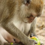 IMG_3462 (1000x1500)