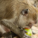 IMG_3463 (1000x1500)