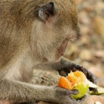 IMG_3476 (1000x1500)
