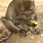 IMG_3483 (1000x1500)