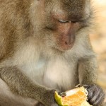 IMG_3487 (1000x1500)